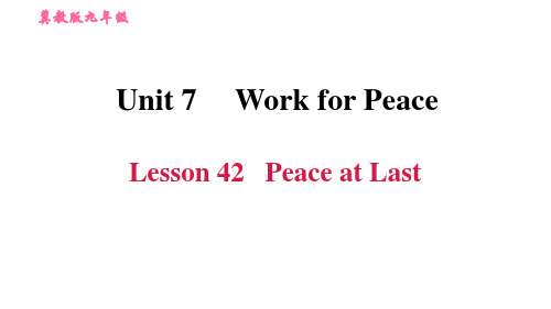 2020-2021学年冀教版九年级下册英语习题课件  Unit 7 Lesson 42