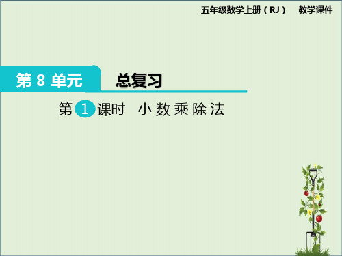 人教版小学数学五年级上册：第1课时 小数乘除法课件