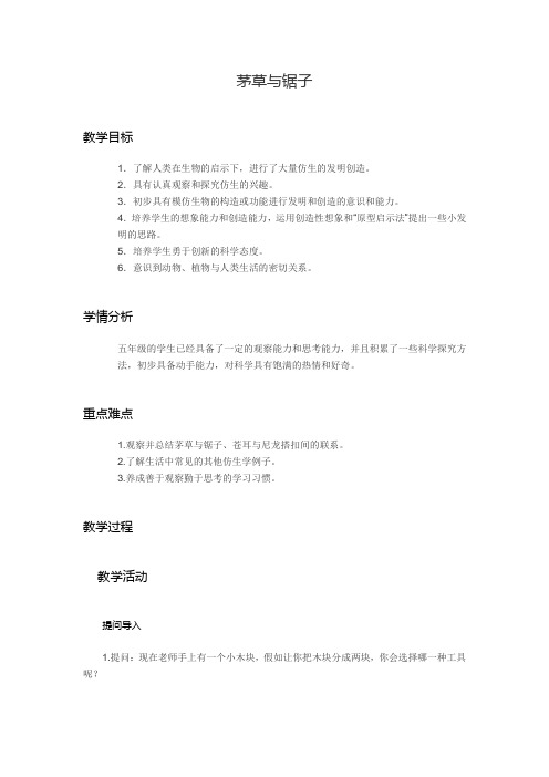 聂子成科学7茅草与锯子