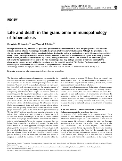 Life and death in the granuloma--- immunopathology of tuberculosis