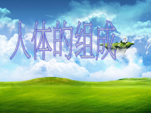 人体的组成