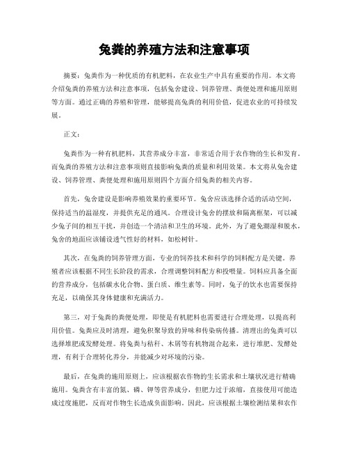 兔粪的养殖方法和注意事项