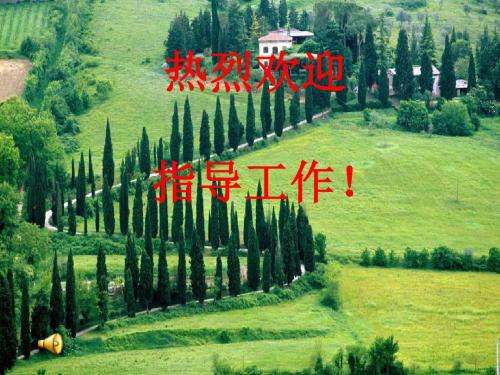 五年级语文上册 第七单元 鹬蚌相争课件4 西师大版