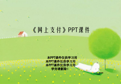 《网上支付》PPT课件