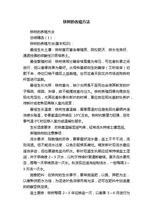 铁树的养殖方法