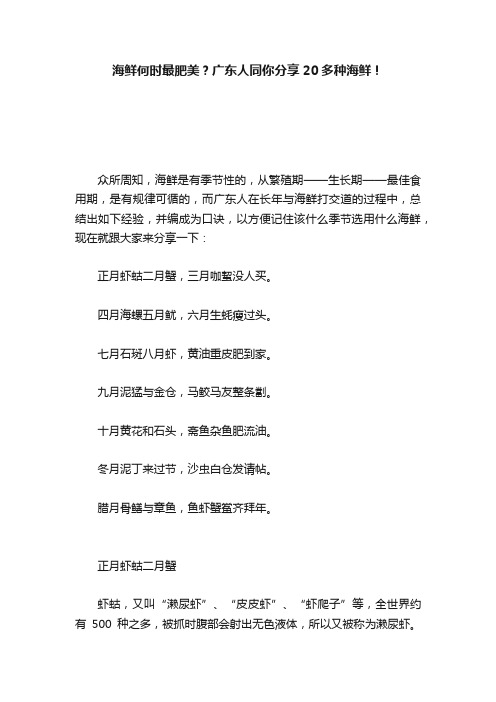 海鲜何时最肥美？广东人同你分享20多种海鲜！