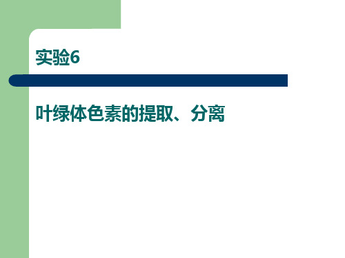 植物生理学实验 叶绿体色素的提取、分离