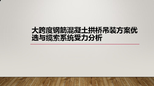 大跨度钢筋混凝土拱桥吊装方案优选与缆索系统受力分析