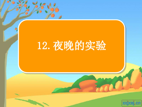 苏教版语文六年级下册12夜晚的实验