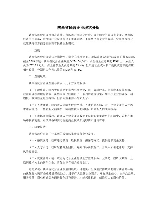 陕西省民营企业现状分析