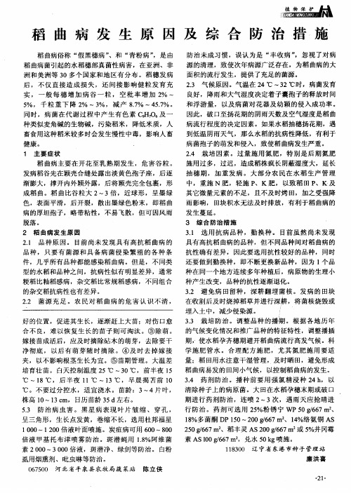稻曲病发生原因及综合防治措施