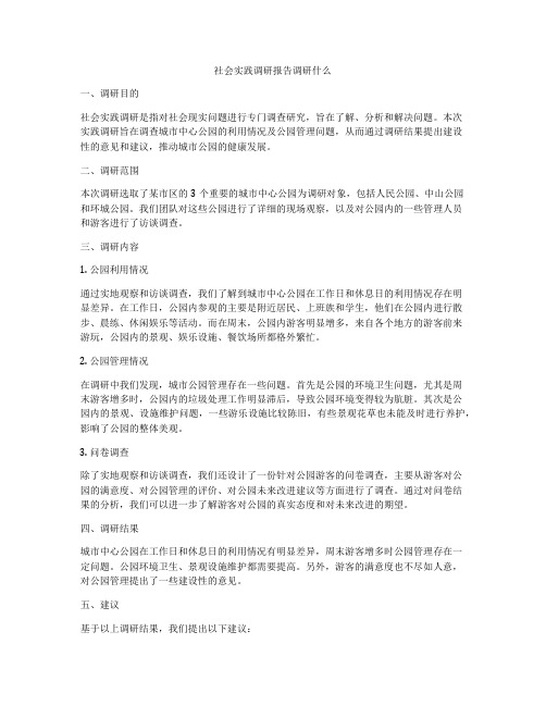 社会实践调研报告调研什么