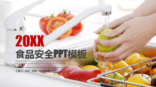 简洁商务食品安全工作计划报告总结PPT模板