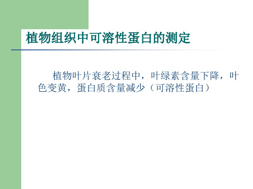 植物生理学实验课件9植物组织中可溶性蛋白的测定