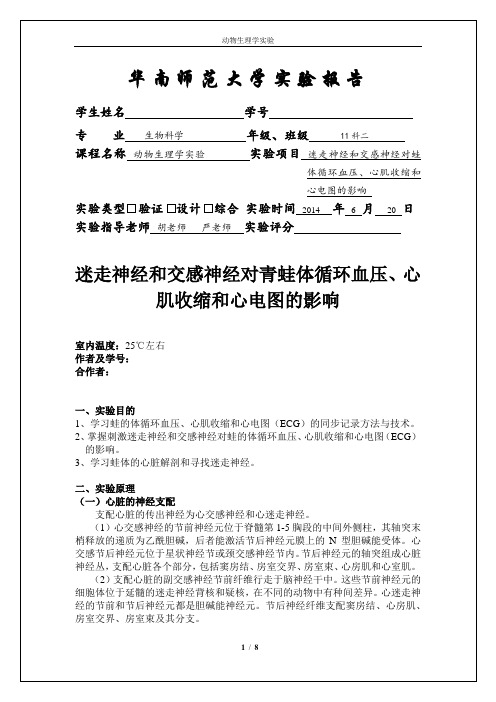 迷走神经和交感神经对青蛙体循环血压、心肌收缩和心电图的影响