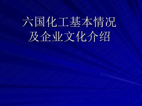 六国化工基本情况及企业文化介绍