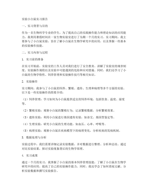 实验小白鼠实习报告