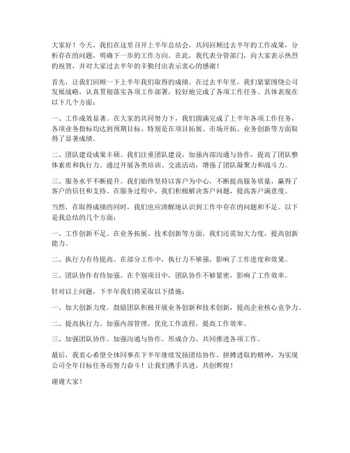 上半年总结会分管领导发言稿