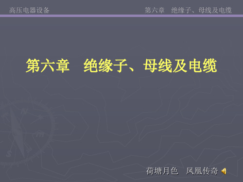 6 绝缘子、母线及电缆