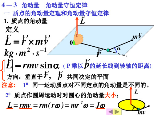 刚体力学_角动量