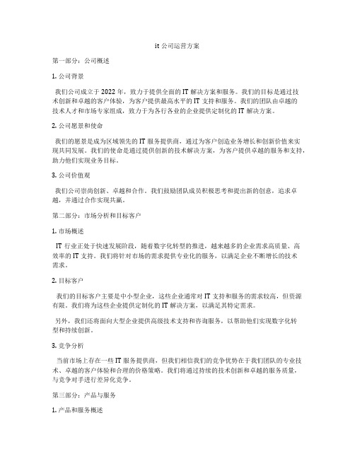 it公司运营方案