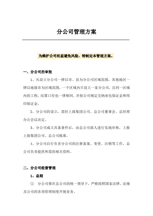 分公司管理方案