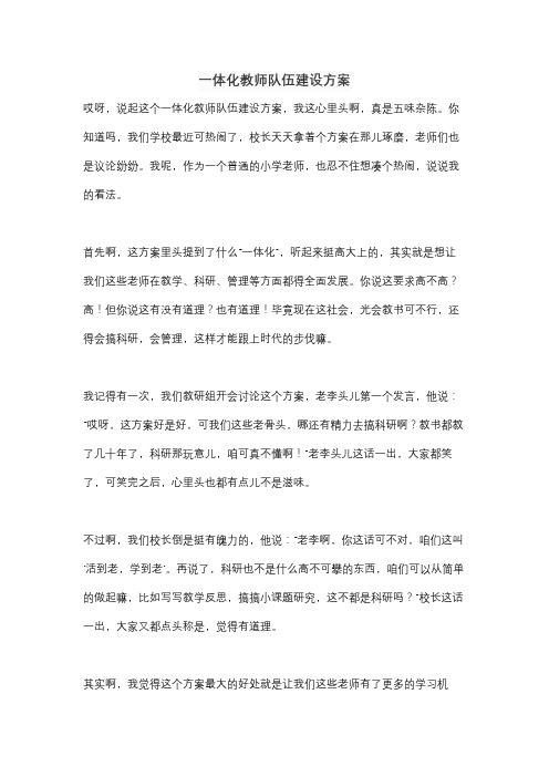 一体化教师队伍建设方案