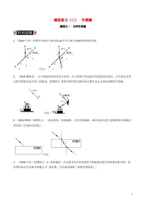 四川省中考物理专题复习 题型复习(二)作图题练习