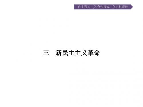 高一历史人民版课件3.3新民主主义革命