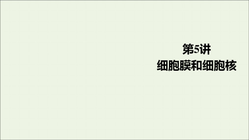 2021高考生物一轮复习第2单元细胞的结构和物质的输入和输出第5讲细胞膜和细胞核课件新人教版必修1