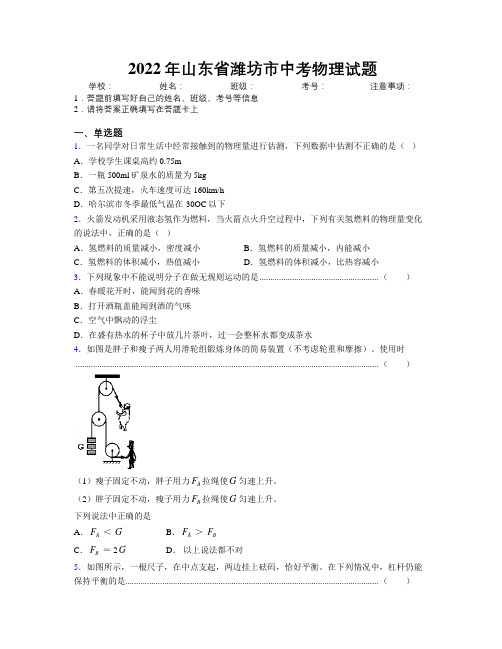 2022年山东省潍坊市中考物理试题及解析