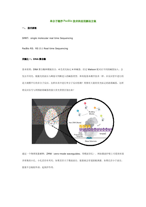 单分子测序PacBio技术和应用解决方案