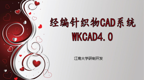 江南大学经编WKCAD