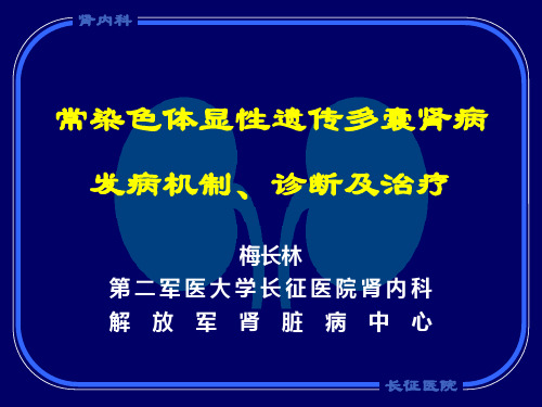 常染色体显性遗传多囊肾病发病机制、诊断及治疗