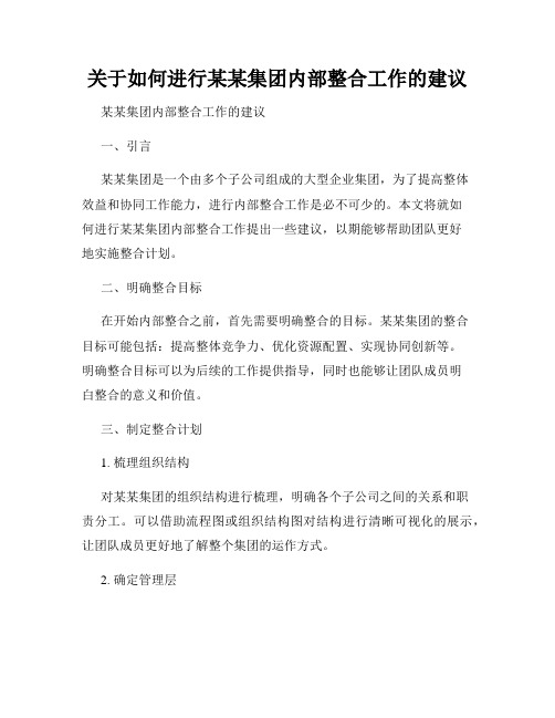 关于如何进行某某集团内部整合工作的建议