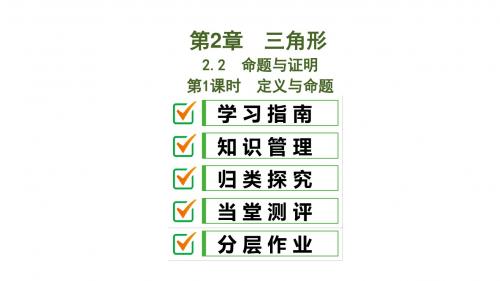 2.2 第1课时 定义与命题