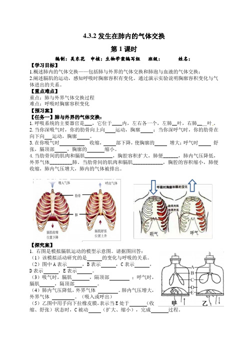 人教版七年级生物下册4.3.2   发生在肺内的气体交换  学案设计(无答案)