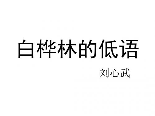 六年级语文上册《白桦林的低语》课件3北师大版