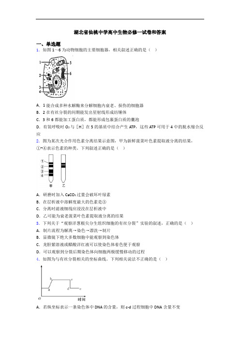 湖北省仙桃中学高中生物必修一试卷和答案