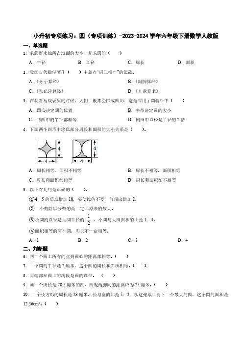 小升初专项练习：圆(专项训练)-2023-2024学年六年级下册数学人教版(含答案)