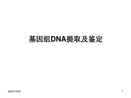 蛋白质浓度测定、Km测定、DNA提取PPT教学课件