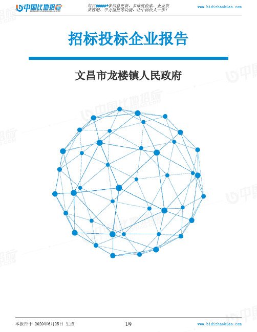 文昌市龙楼镇人民政府-招投标数据分析报告