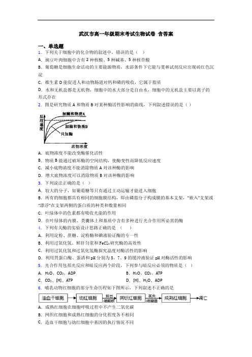 武汉市高一年级期末考试生物试卷 含答案