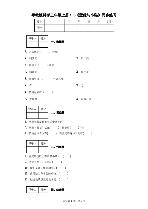 粤教版科学三年级上册1.3《壁虎与小猫》同步练习