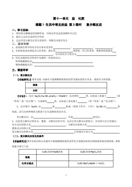 生活中常见的盐 导学案(3)