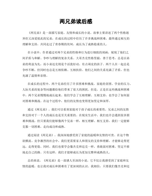 两兄弟读后感
