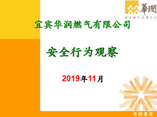 安全行为观察-54页PPT文档资料