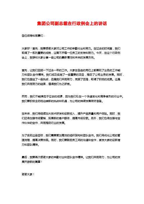 集团公司副总裁在行政例会上的讲话