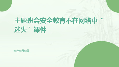 主题班会安全教育不在网络中“迷失”课件