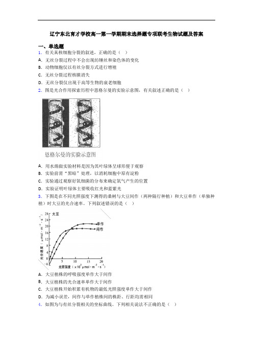 辽宁东北育才学校高一第一学期期末选择题专项联考生物试题及答案